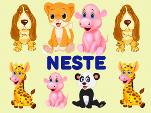 Neste