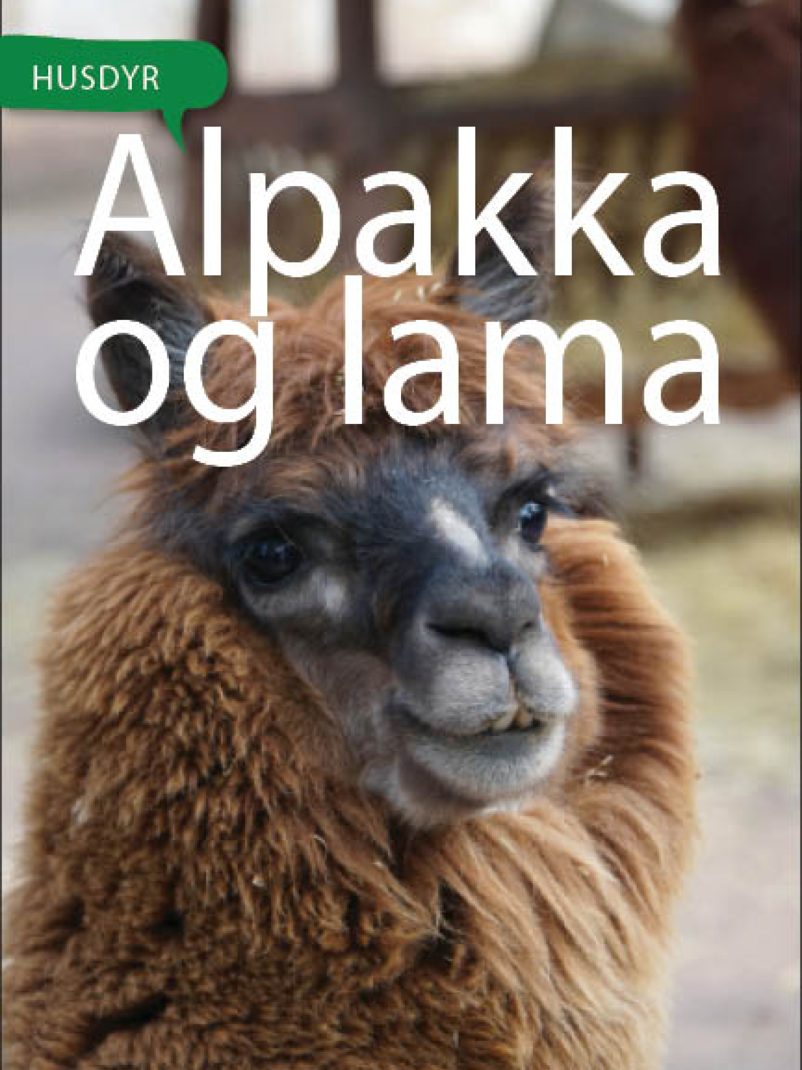 Alpakka og lama