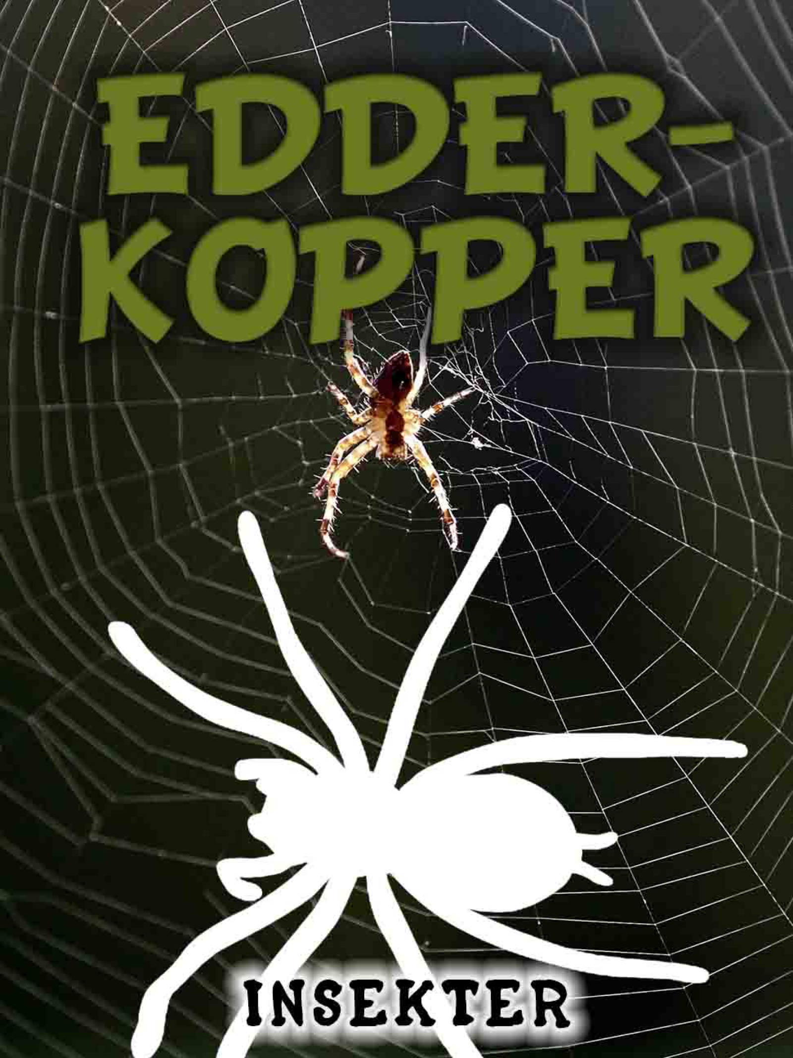 Edderkopper