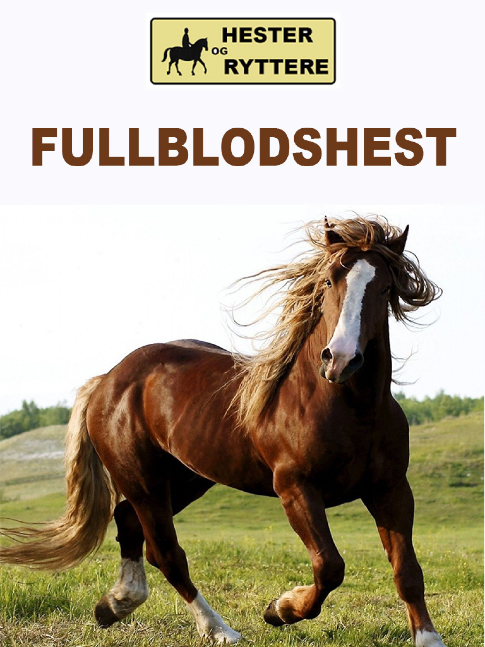 Fullblodshest