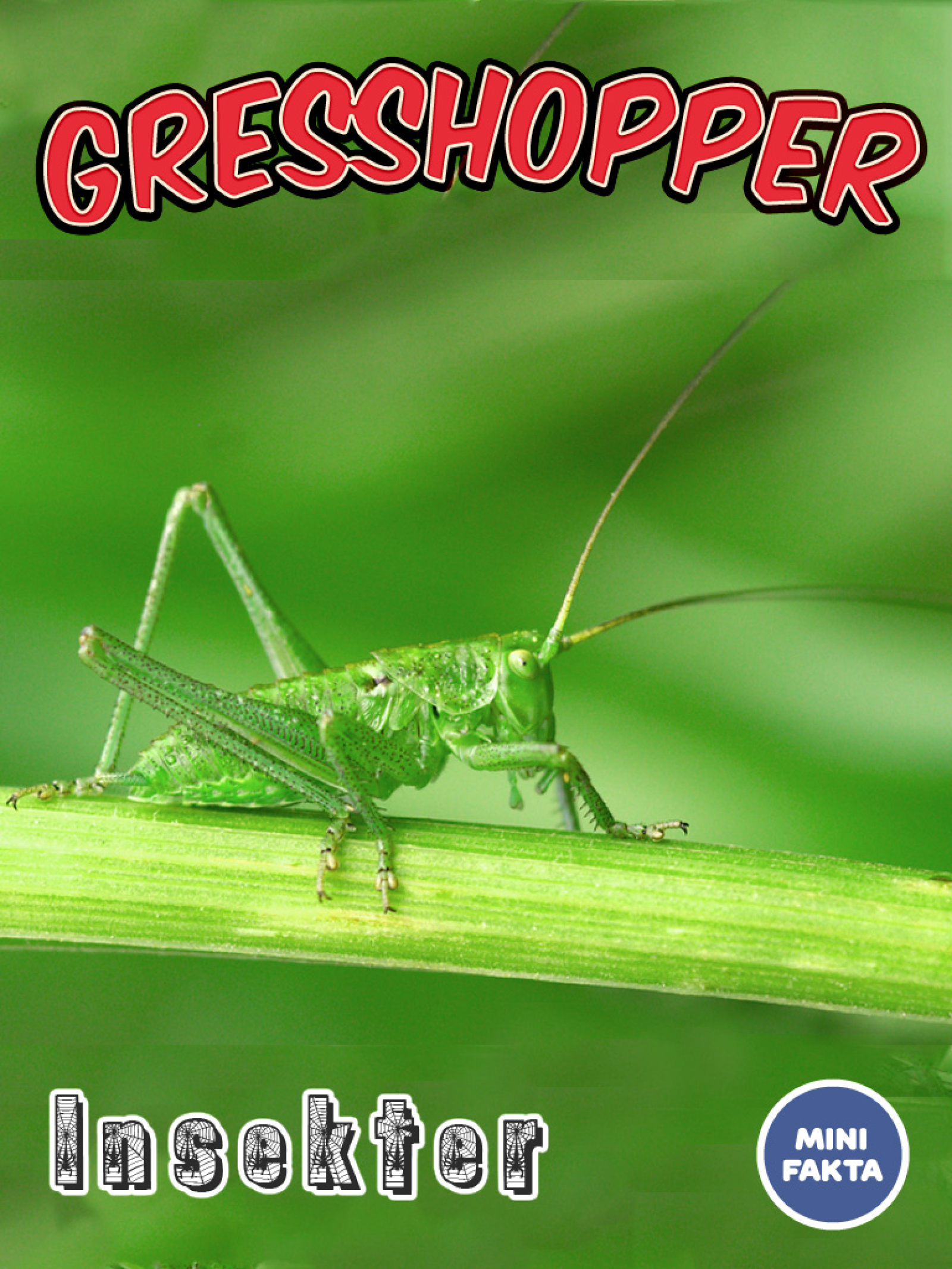 Gresshopper Minifakta