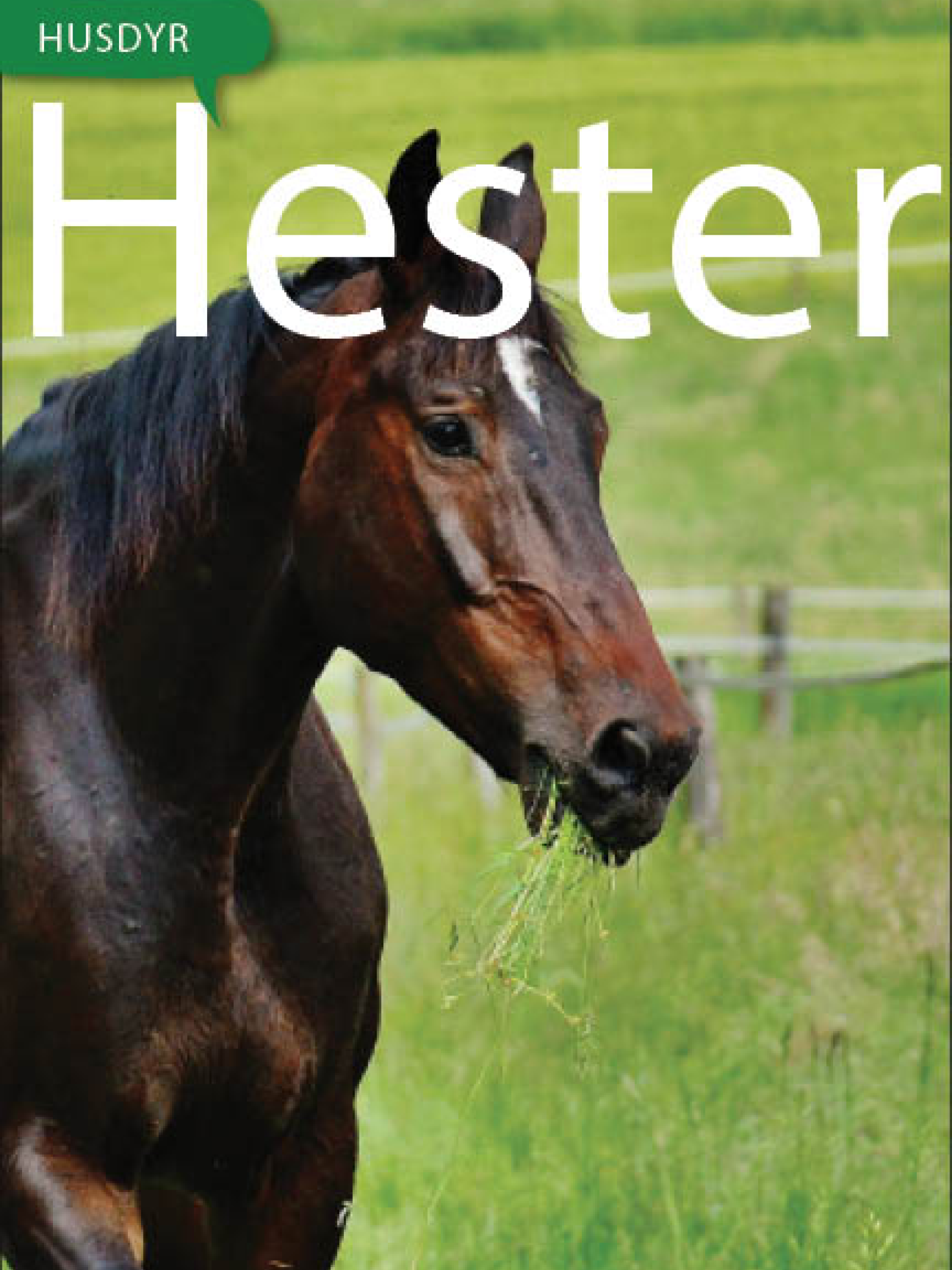 Hester