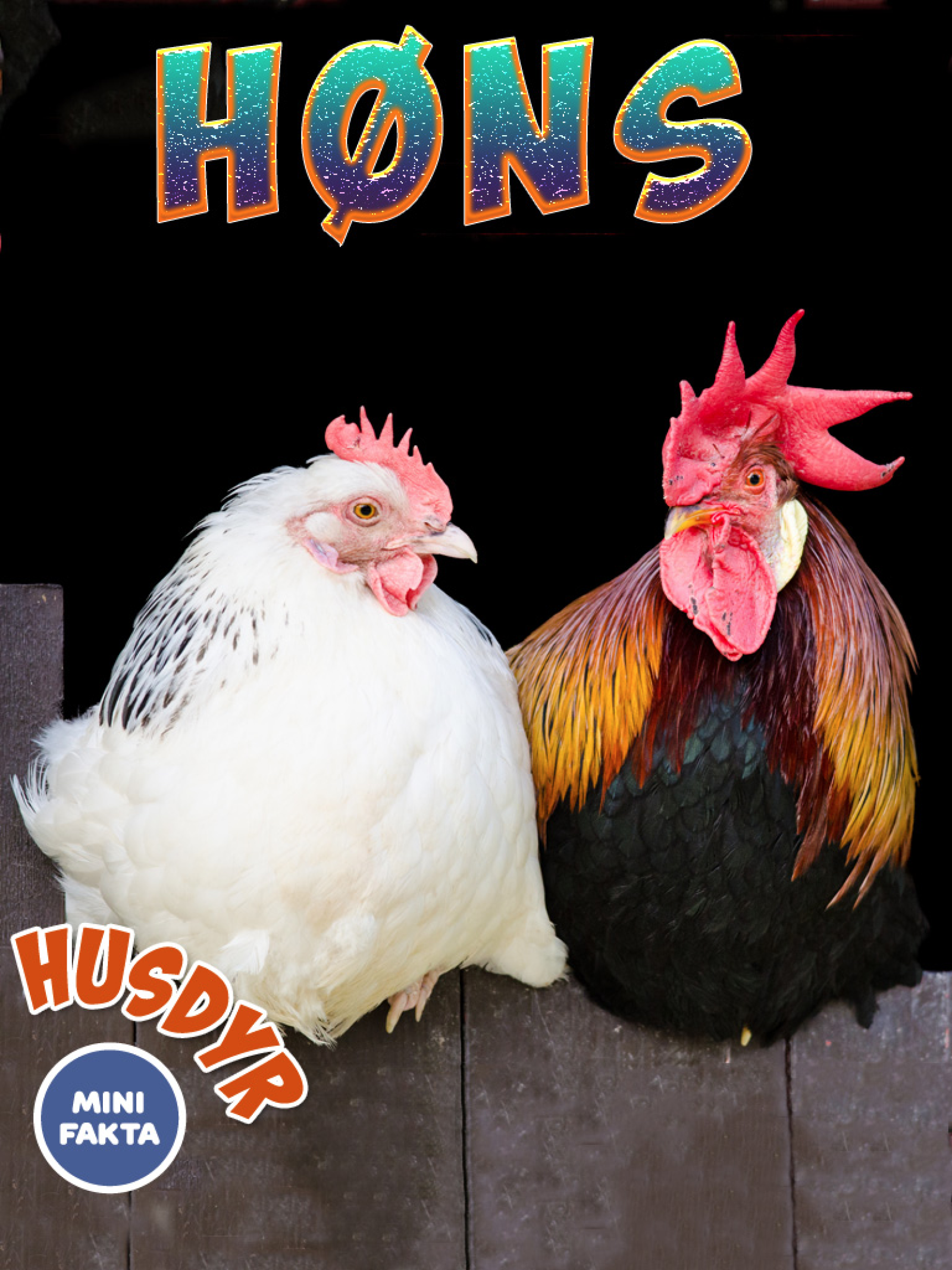 Høns