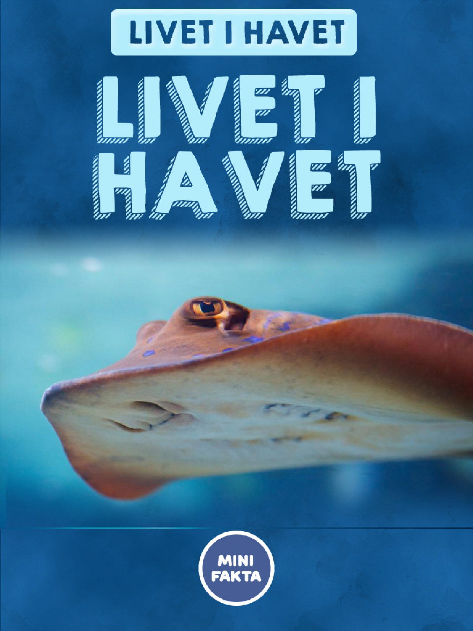 Livet i havet Minifakta