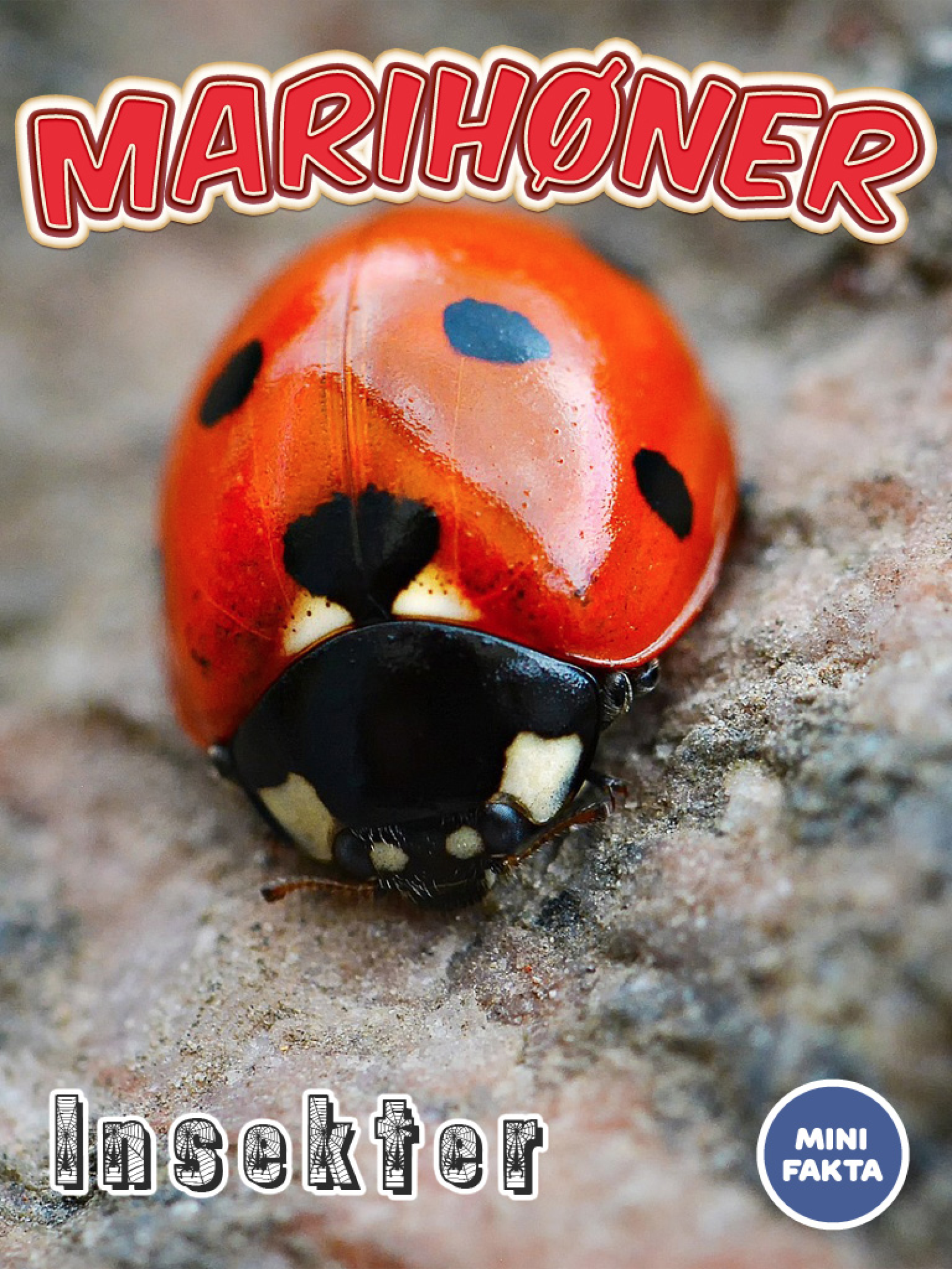 Marihøner Minifakta
