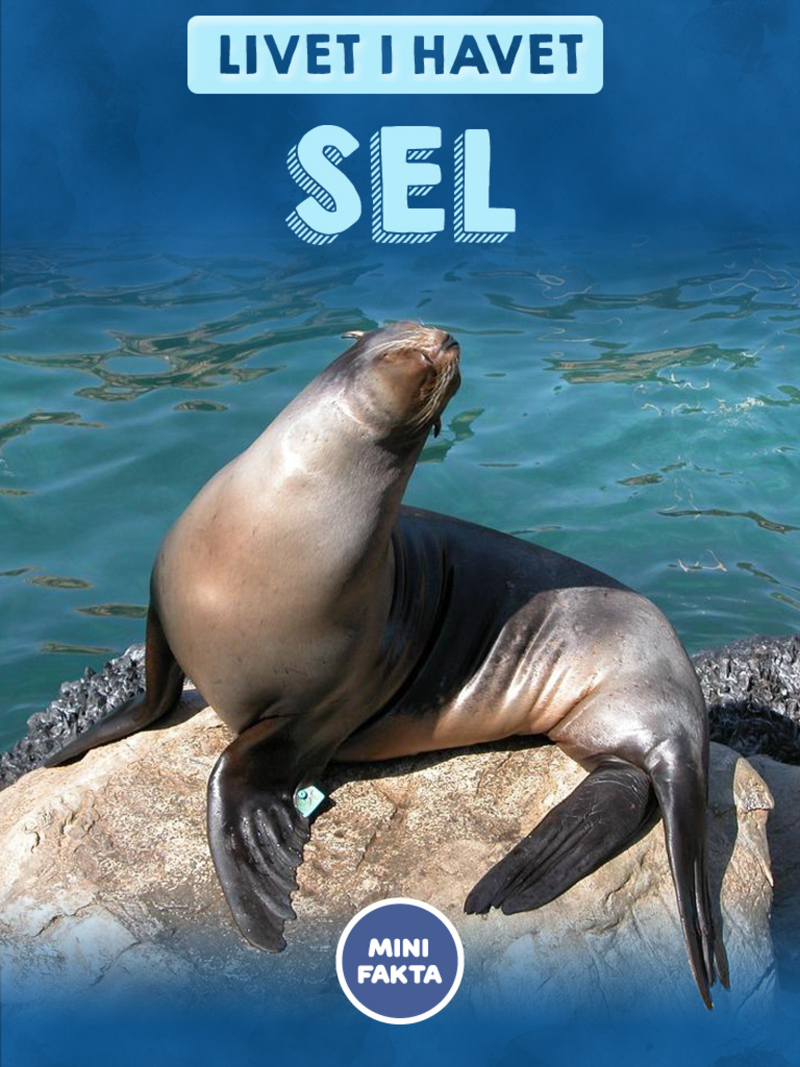 Sel