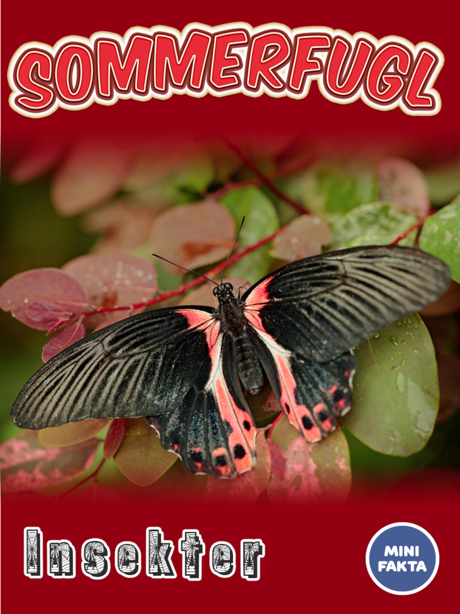 Sommerfugl