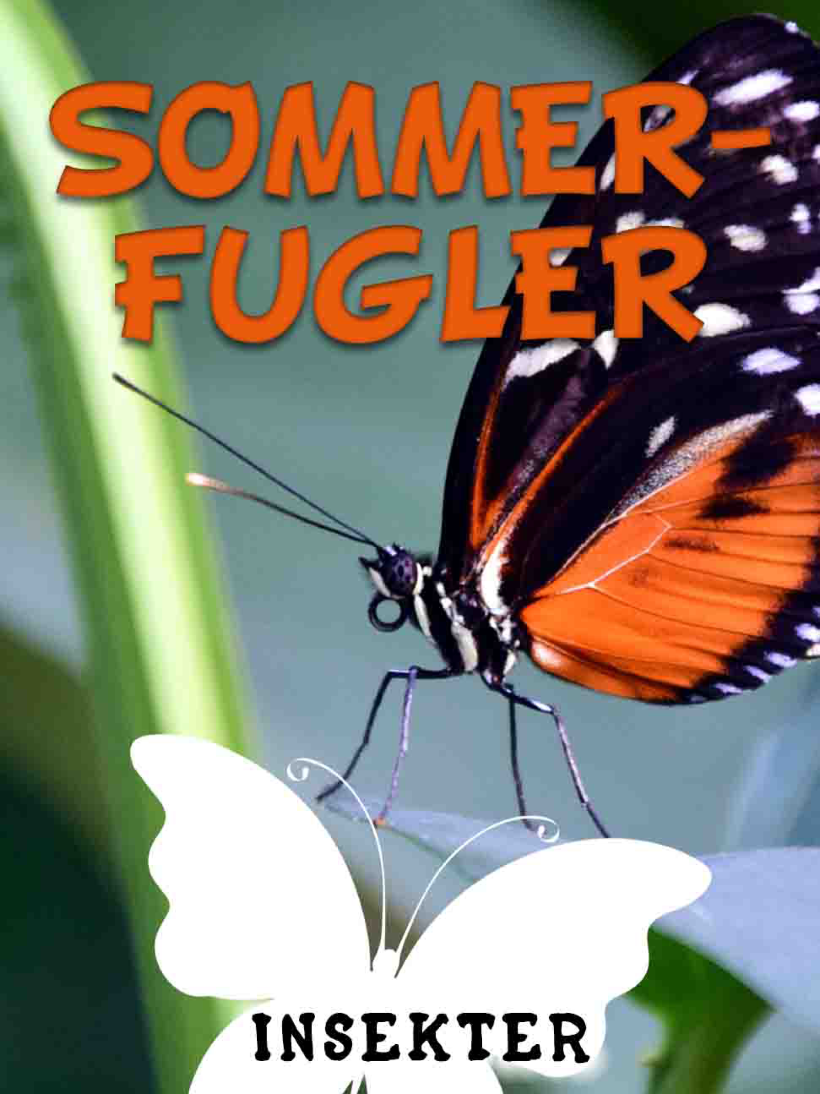 Sommerfugler