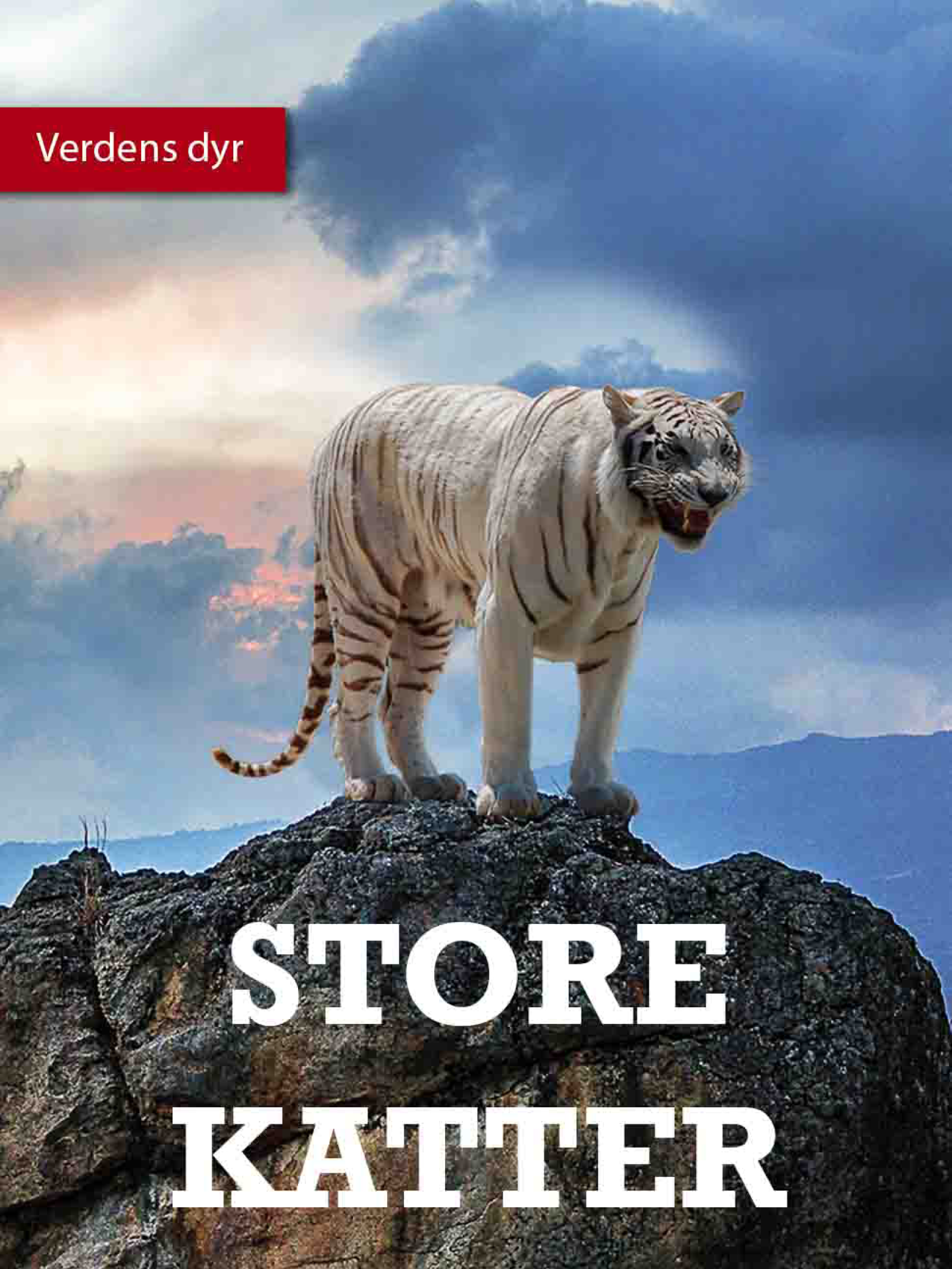 Store katter
