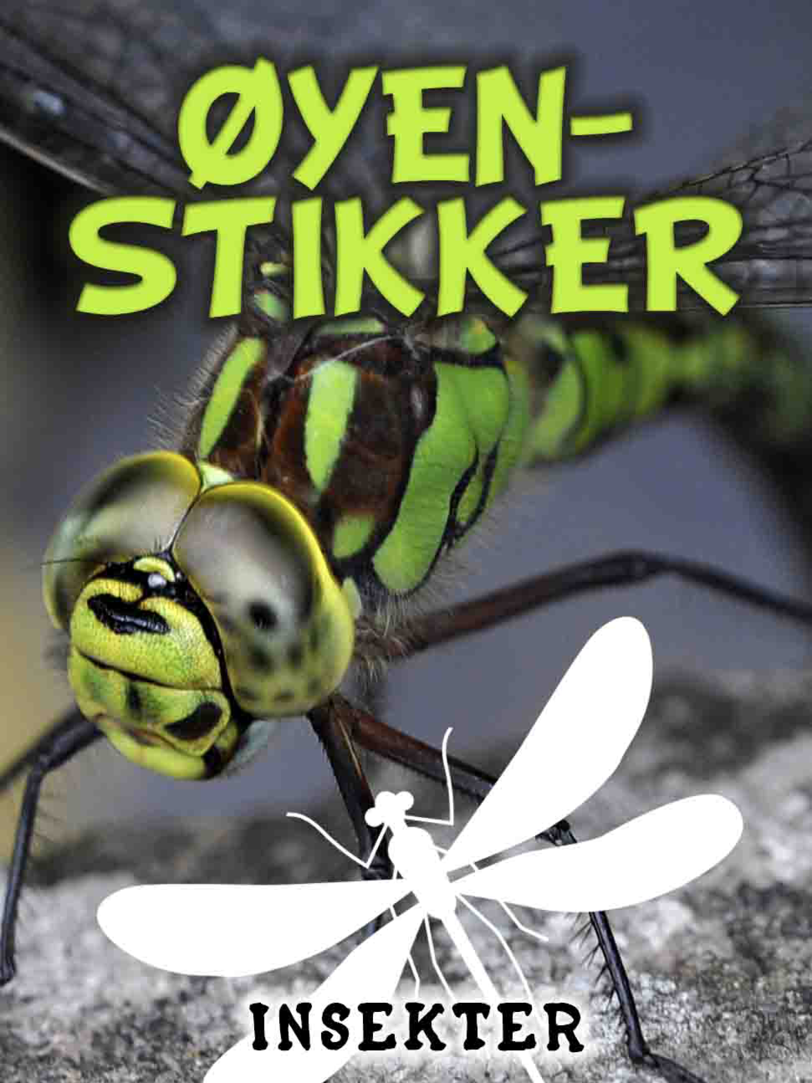 Øyenstikker