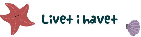 livetihavet2